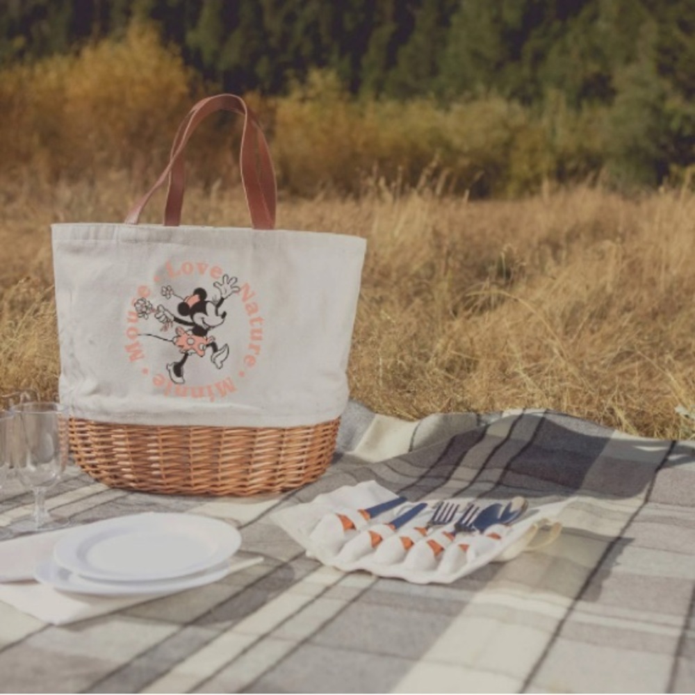 Minnie Mouse Picnic Basket